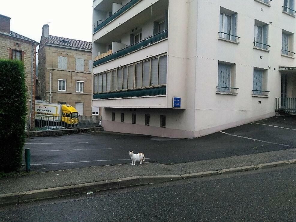 Bel Appartement A Vivre Saint-Etienne  Dış mekan fotoğraf